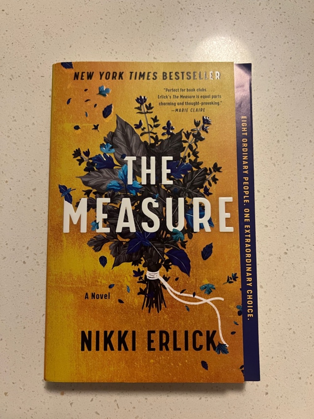 The Measure by Nikki Erlick